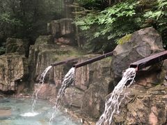 -宁海森林温泉