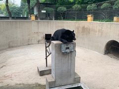 -保定市动物园