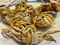 -杨氏青龙虾·羊蝎子(托乐嘉店)