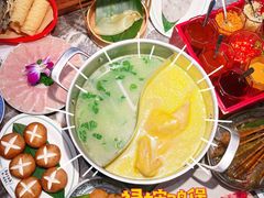-禄婶鸡煲·打边炉