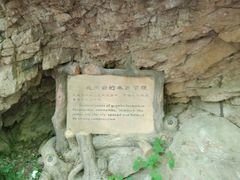 -王顺山国家森林公园