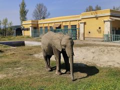 -哈尔滨北方森林动物园