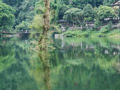 -峨眉山风景名胜区
