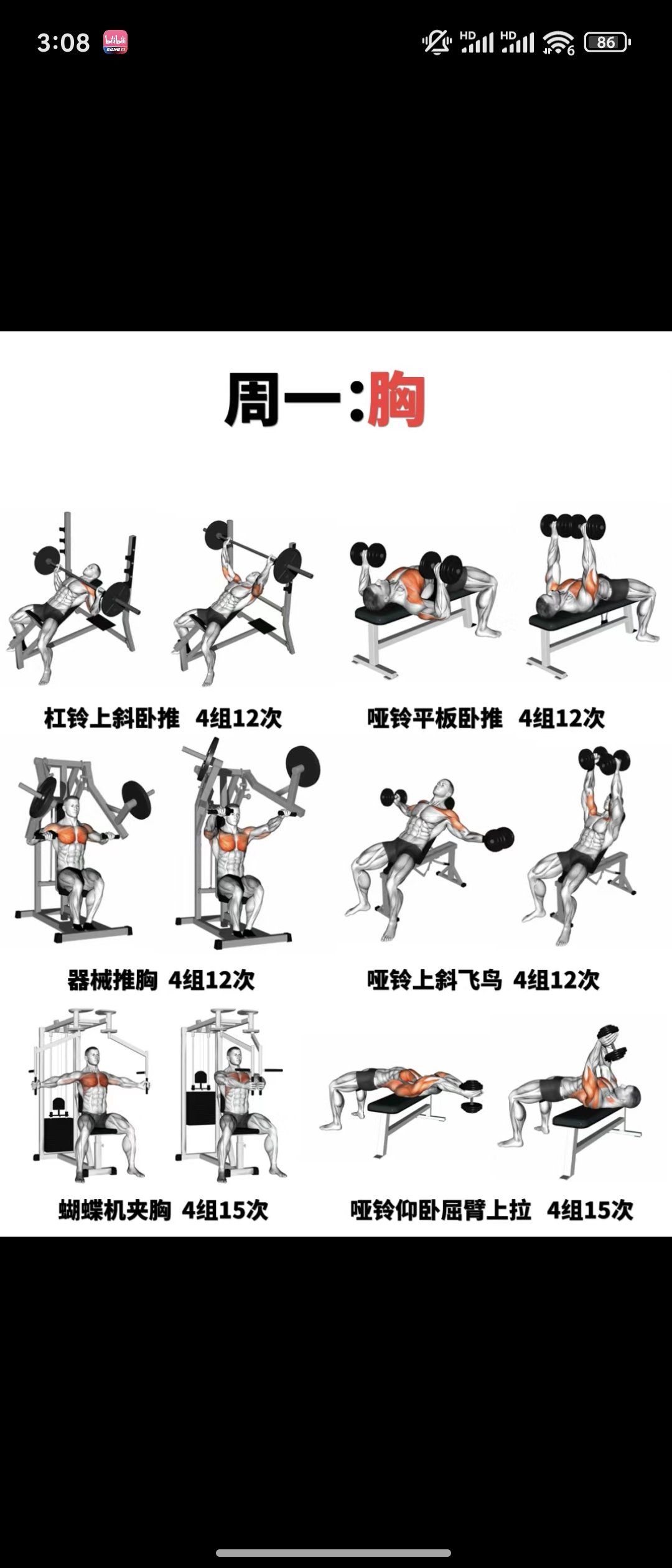 周一练胸日 动作合集