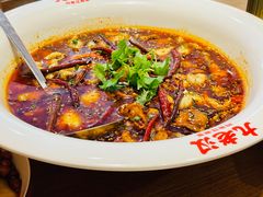 -九老汉·川渝江湖菜(合川路2店)