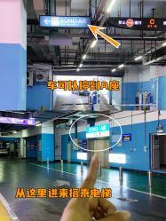 -唐风采假发补发定制