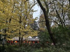 -岳麓山风景名胜区