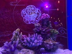 -上海海昌海洋公园
