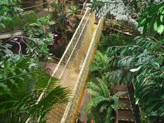 -正佳雨林生态植物园