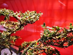 -柴门头啖汤·经典川菜·慢火汤品(锦城万达店)