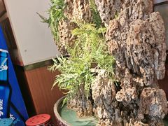 -成老灶火锅鸡(平山店)