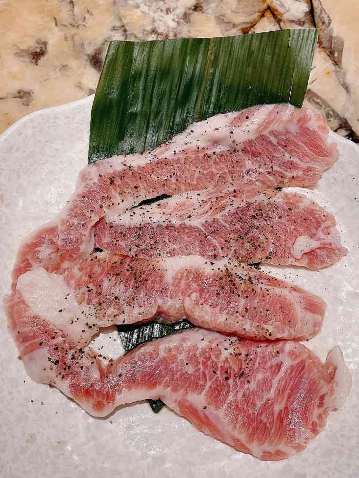 禾二烧肉(紫马奔腾广场店)-"趁着开业期间打八折优惠赶紧来探店!环境.