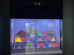 -湖南省地质博物馆