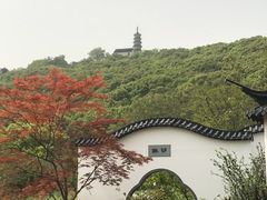 -苏州上方山国家森林公园