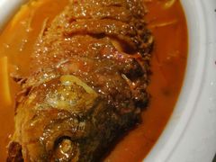 -阿五黄河大鲤鱼(纬三路店)