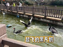 -无锡动物园·太湖欢乐园