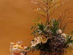 -橼舍鮨青木