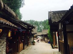 -秀丽东方