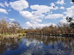 -MAP CHA普洱茶馆(翠湖店)