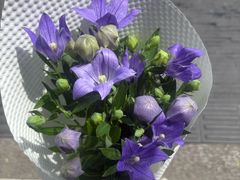 -亭亭鲜花店(中山北路店)