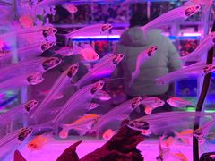 -三旗百汇商品城