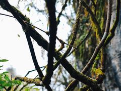 -山王坪喀斯特国家生态公园