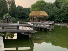 -新江湾城公园