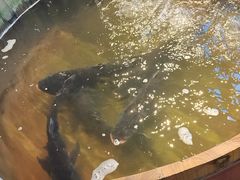 -湖南别院·美学庭院餐厅(惠阳店)