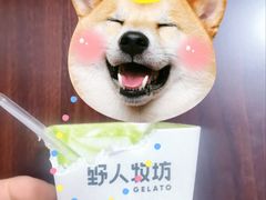 -野人先生现做冰淇淋(北京悠唐购物中心店)