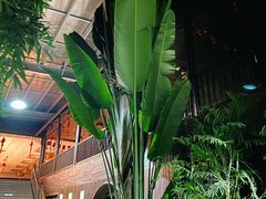 -龙达温泉生态城