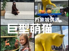 -深圳湾万象城(南山店)