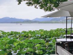 -湖畔居茶楼(湖滨店)