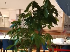 -悦海·家宴·冰花皮皮虾大锅贴(宝龙店)
