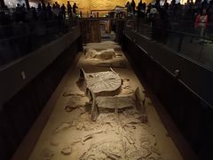 -北京大葆台遗址博物馆