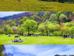 -大水川景区