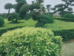 -南宁南湖公园