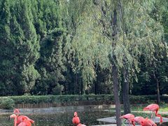 -石家庄市动物园