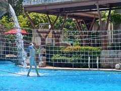 -新加坡水上探险乐园