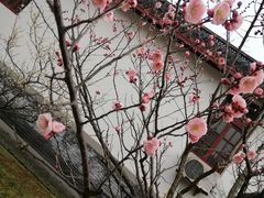 -南通博物苑-崇川人民公园