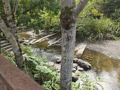 -石台牯牛降景区
