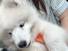 -嘉馨宠物医院·CT影像转诊·心脏科·犬猫全科诊疗中心(下沙大学城院区)