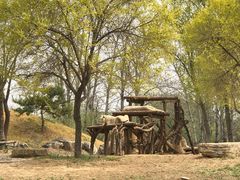 -北京野生动物园