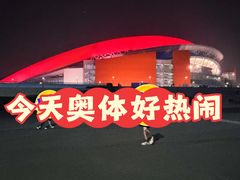 -南京奥林匹克体育中心-体育馆