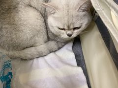 -美联众合24小时·皮肤科·外科·全科诊疗中心(华苑分院)