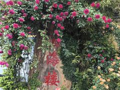 -四海楼(如皋定慧禅寺店)