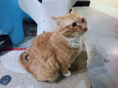 -小时光咖啡馆(开森度假森林店)