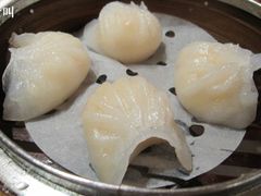 虾饺-糖朝(尖沙咀店)