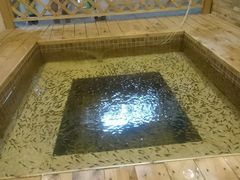 -中家鑫园温泉酒店鑫悦汤泉