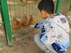 -三亚海棠湾万丽度假酒店