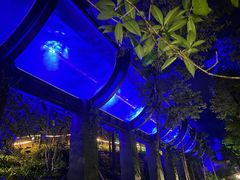 -花水湾第一村温泉大酒店